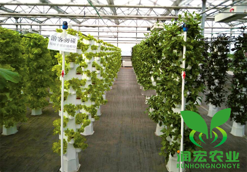 1653116059386370.png 替換6_副本.png