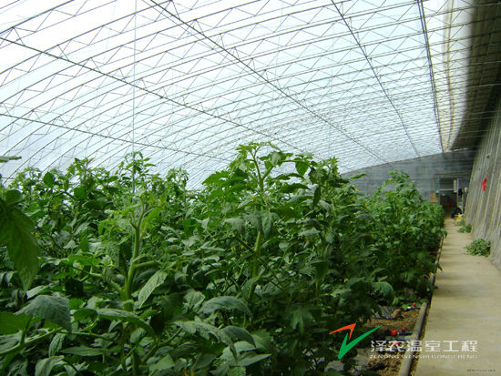 內(nèi)蒙烏拉特后旗金朗泰設施農(nóng)業(yè)基地