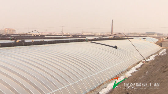 河北衡水阜城恒濱農(nóng)業(yè)園