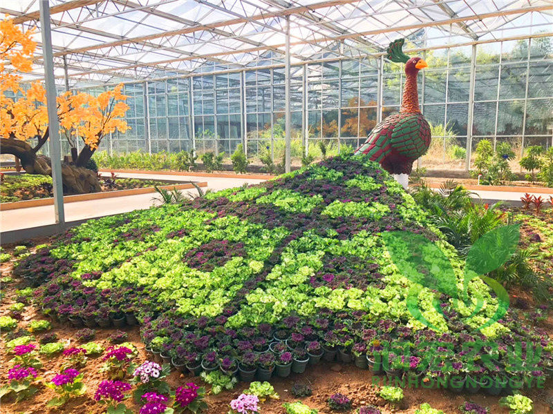 綠植景觀(guān)